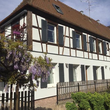 Gite Cote Jardin Ingersheim Bagian luar foto