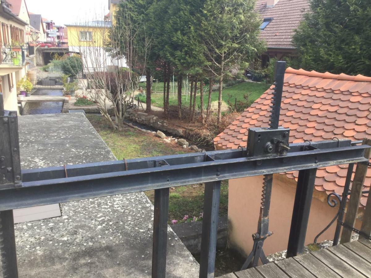 Gite Cote Jardin Ingersheim Bagian luar foto
